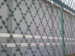 刺网